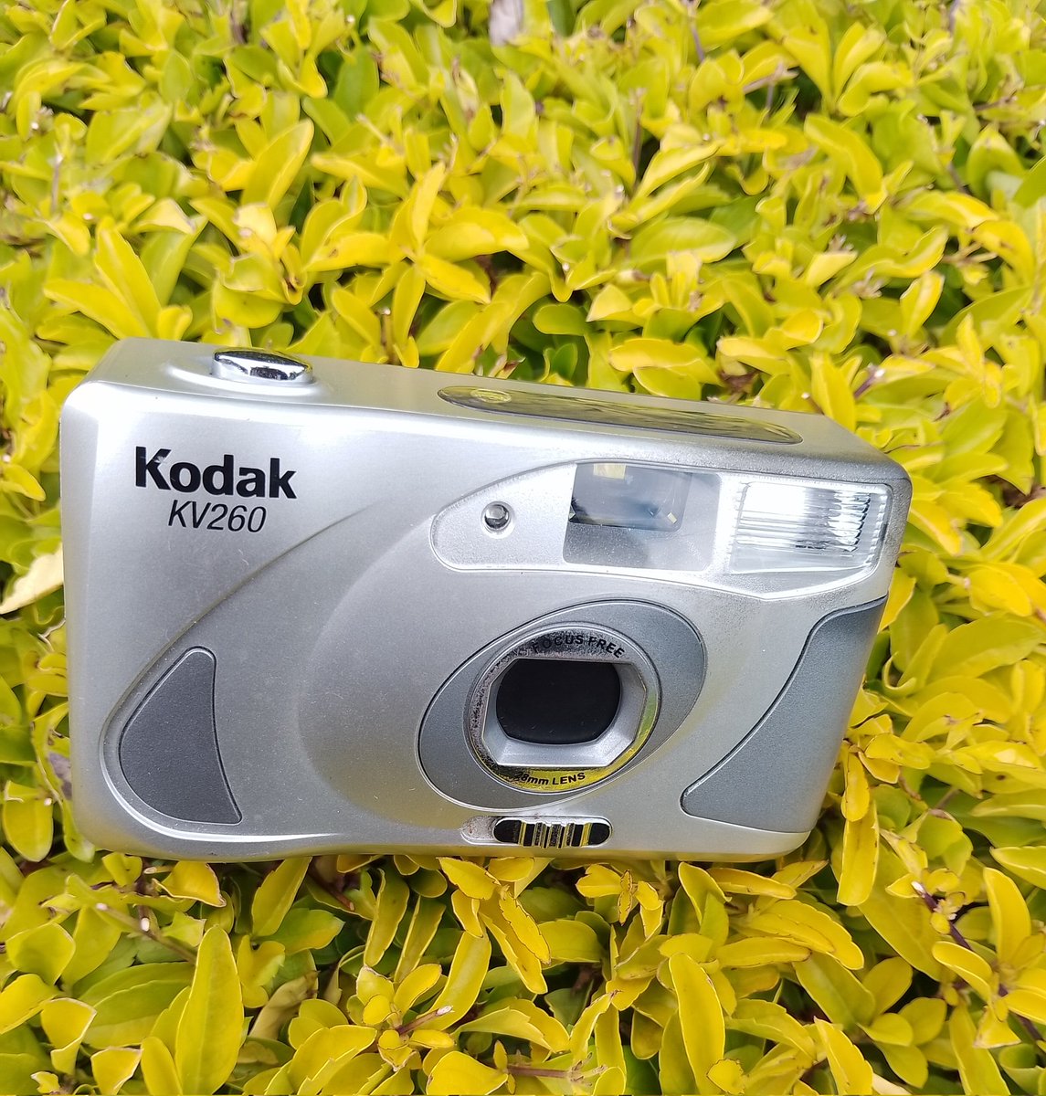 MurithiWaFundi's tweet photo. I am selling my Vintage compact 35mm film camera; the Kodak KV260. If you are a collector or a film photography enthusiast this is yours for the taking.
It is fully working, clean inside, and the flash is functioning.
Going for $45 only.
#Kodak #FilmNow https://t.co/hViRrLEdrU