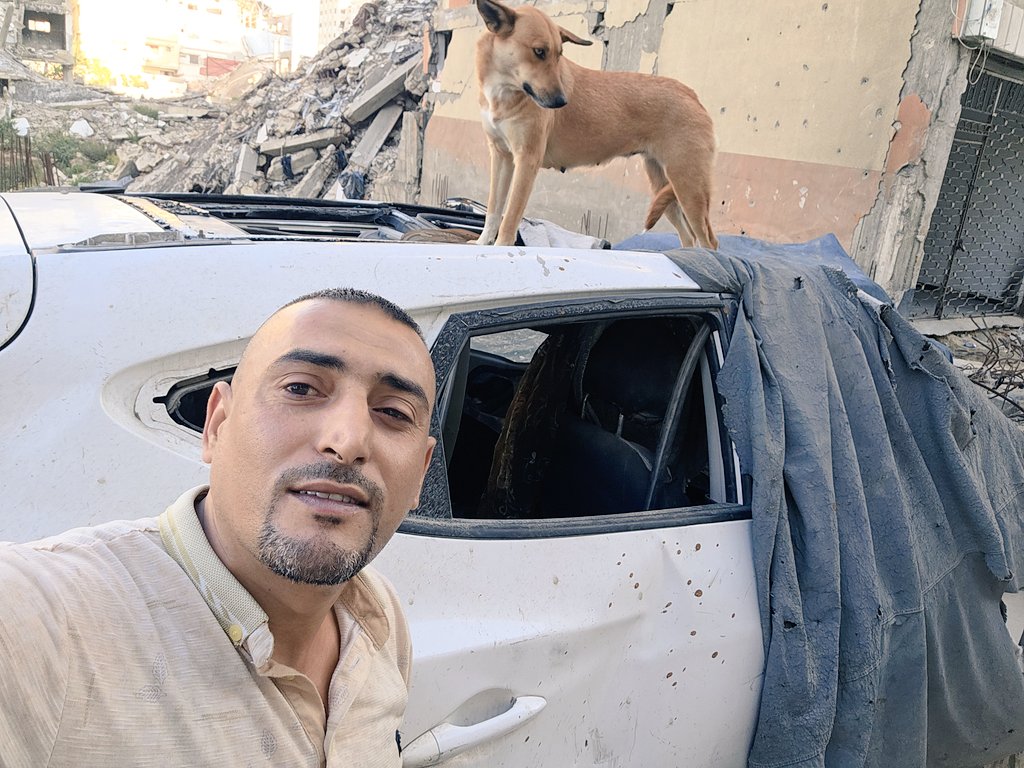 ♥️🇵🇸🇵🇸❤️A lover ♥️of homeless cats😻❤️🌱🌱👍🤗 tweet media