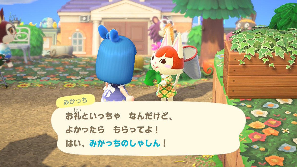 𝔼ℝ𝕀✄…(めぐり)🌻 tweet media