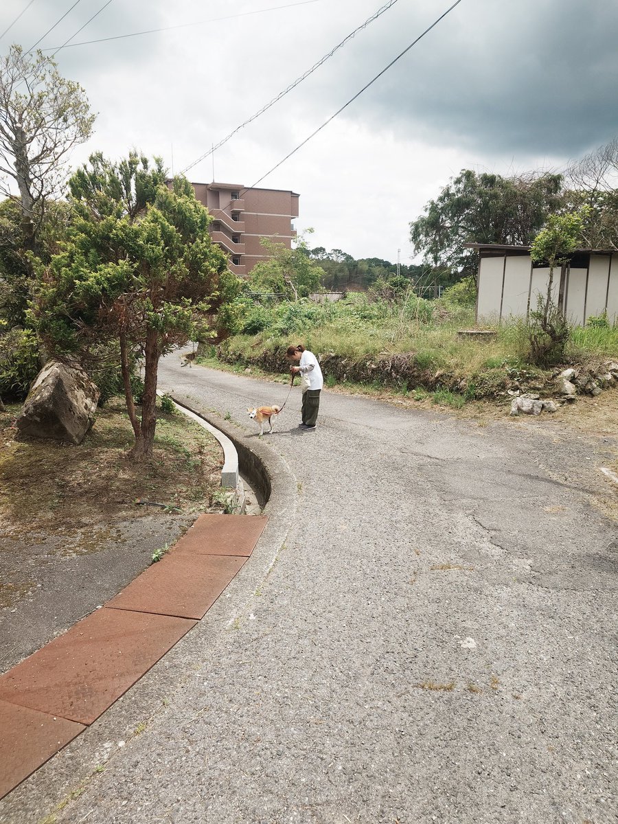 BrainzArk's tweet photo. 今日は みなしご救援隊
犬猫譲渡センターへ

前回から284日
久しぶりの活動でした

リーダー不在の中
メンバー3名
リーダーのお友達
4名の計7名

命の移り変わりもあり
悲しい状況もありました

人も犬猫も同じ命

#RE_BIRTH
#犬猫保護活動 https://t.co/S44L2pdeWP