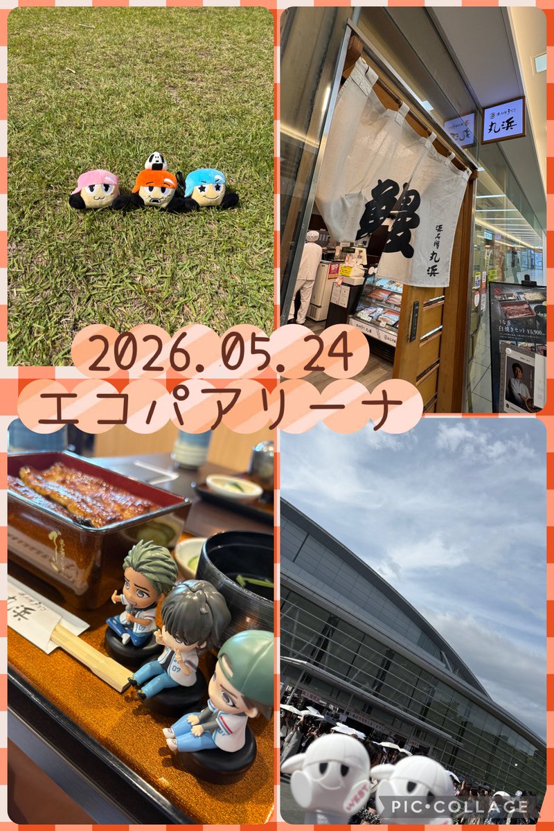 ひよのすけ🪘 tweet media