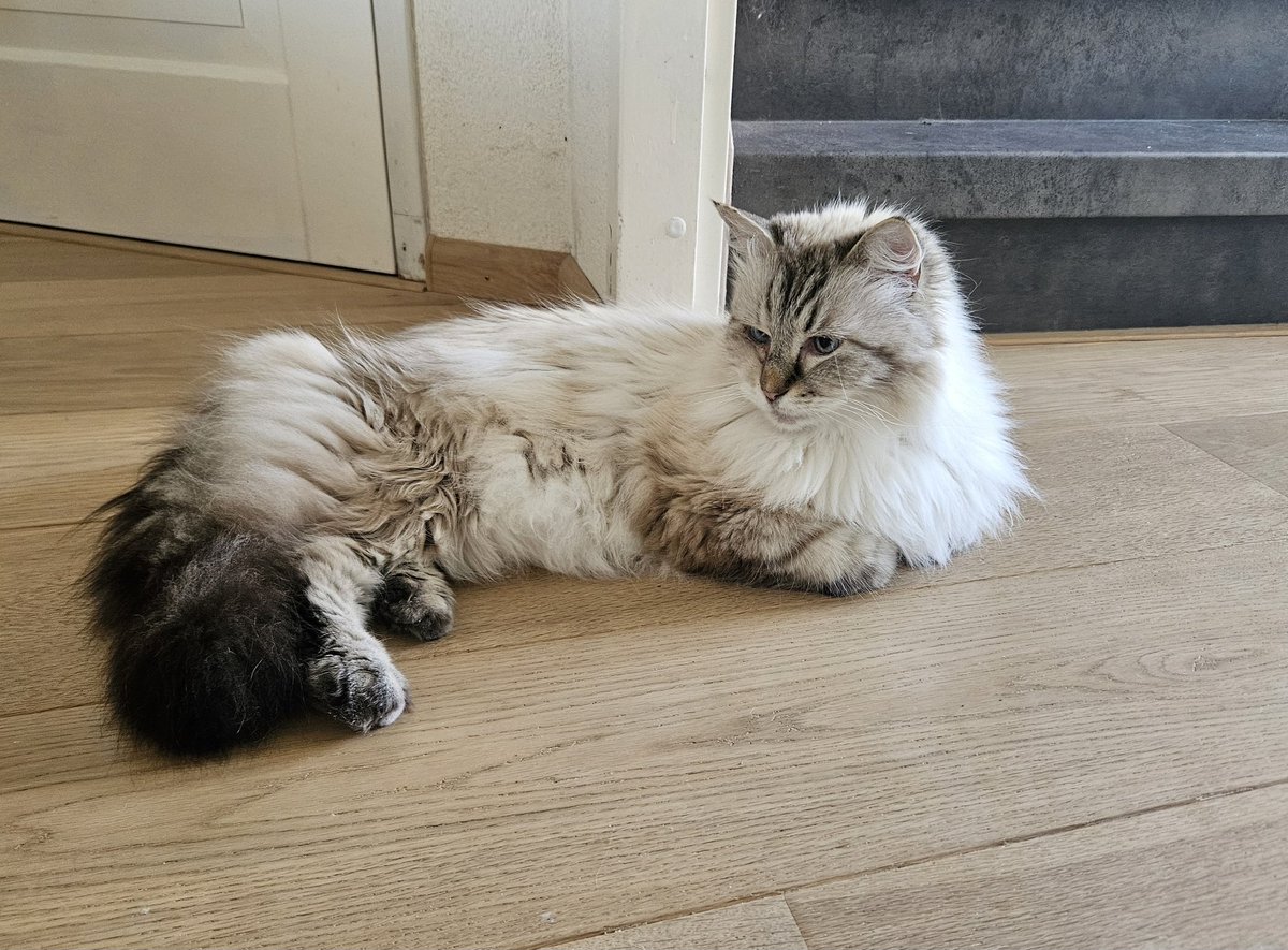 Casper & Yuri tweet media