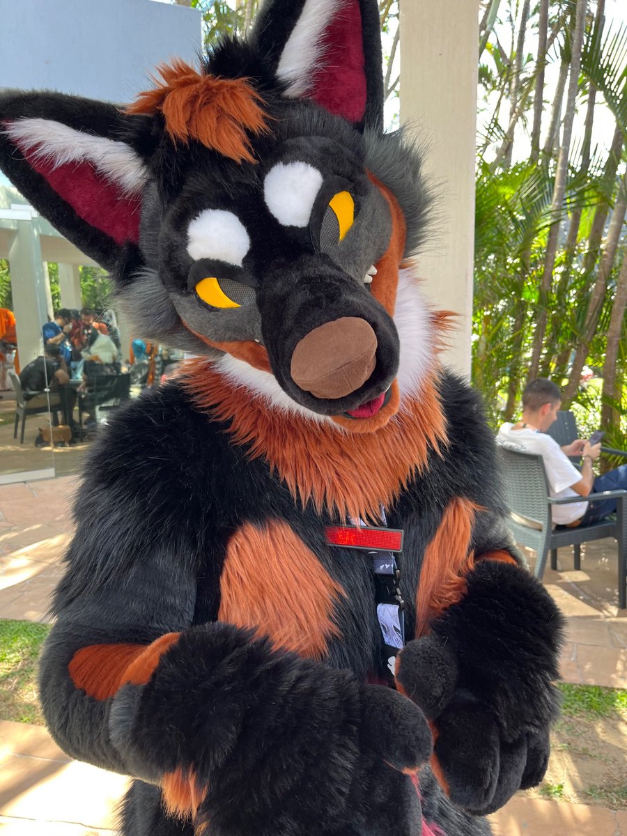 RexyWolf1's tweet photo. @SkyrchHellhound Why thank you https://t.co/o01NPN22zu