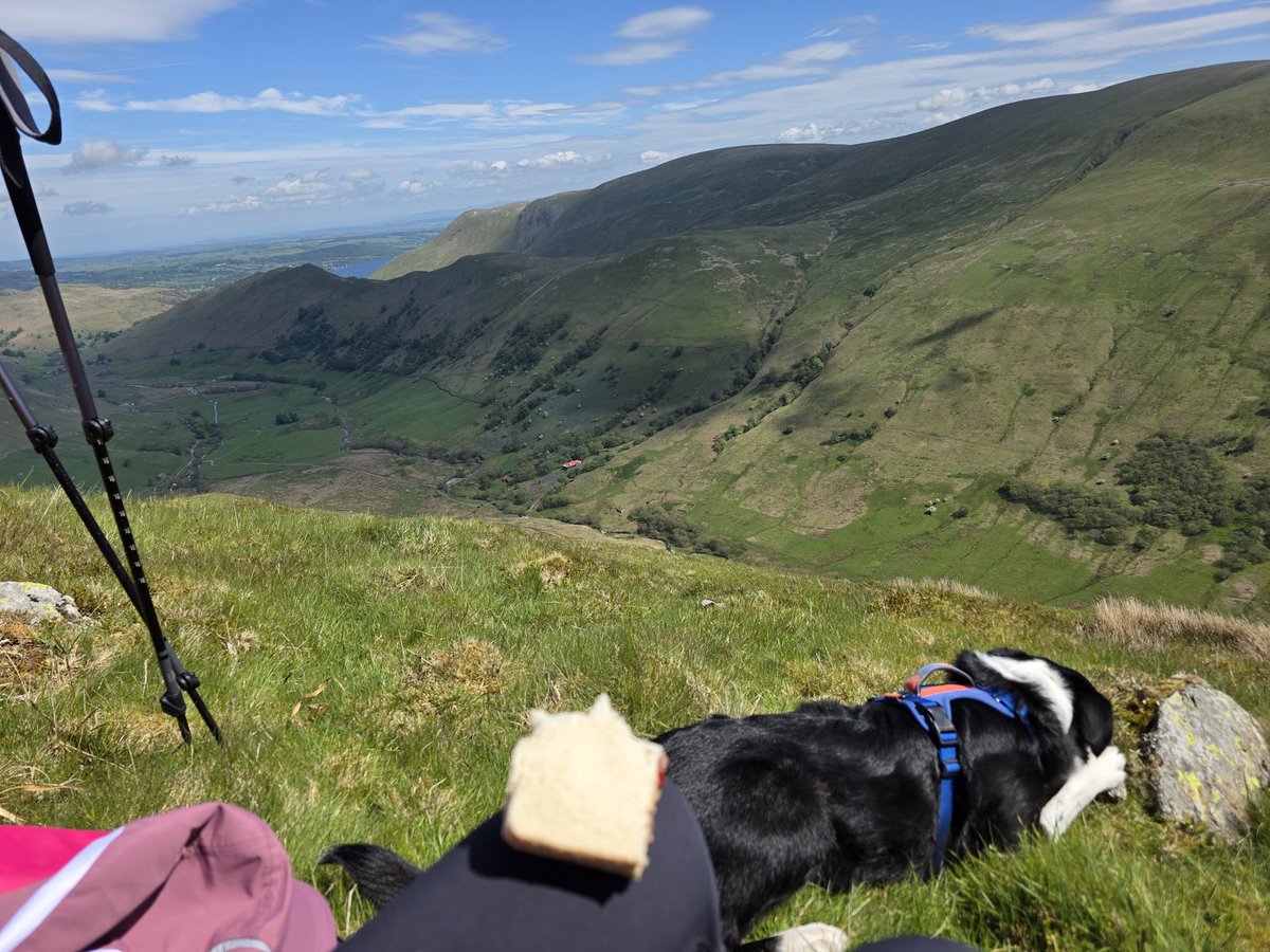 RallyChick79's tweet photo. #BrewWithAView x 2
Beda Fell and The Nab today https://t.co/XsSPJIC47f