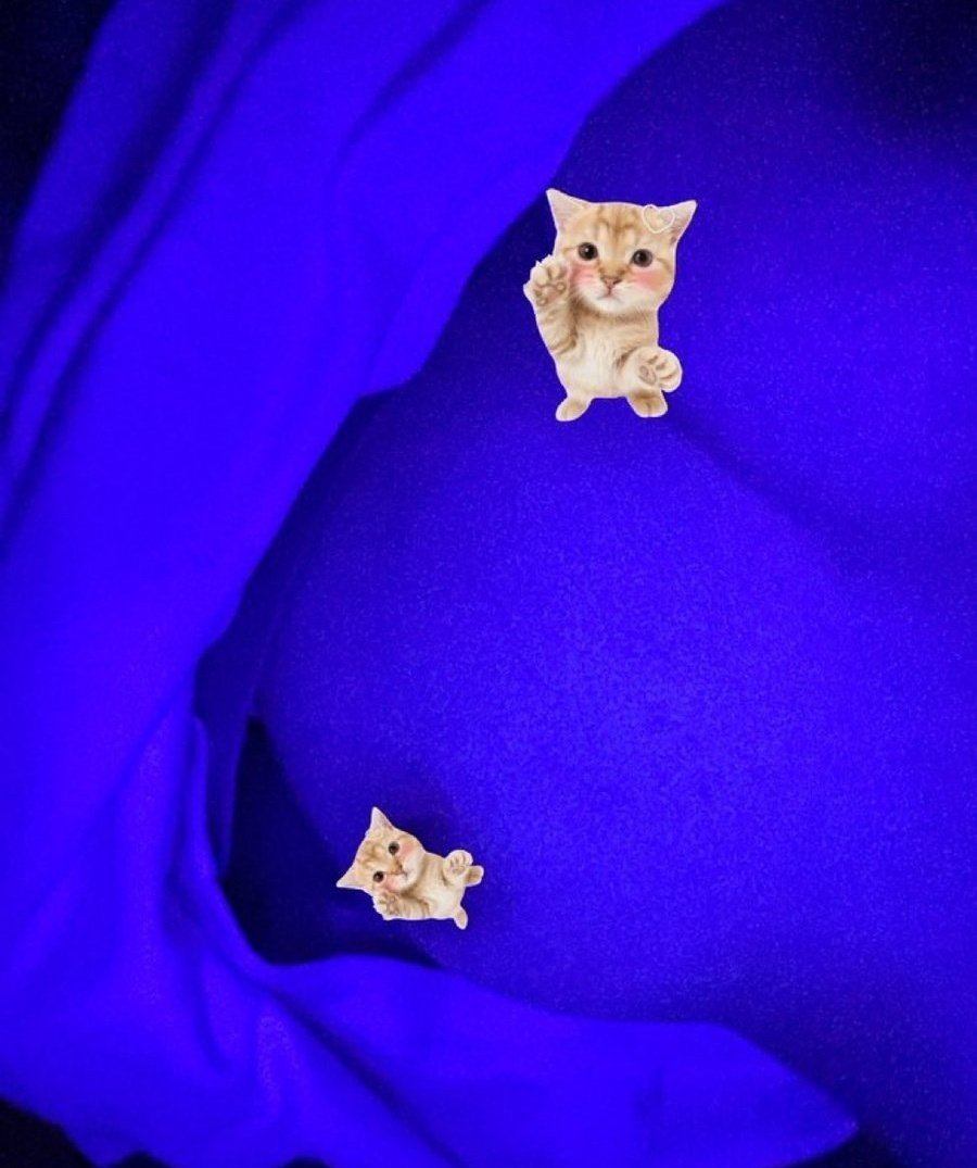 peanut bennett tweet media