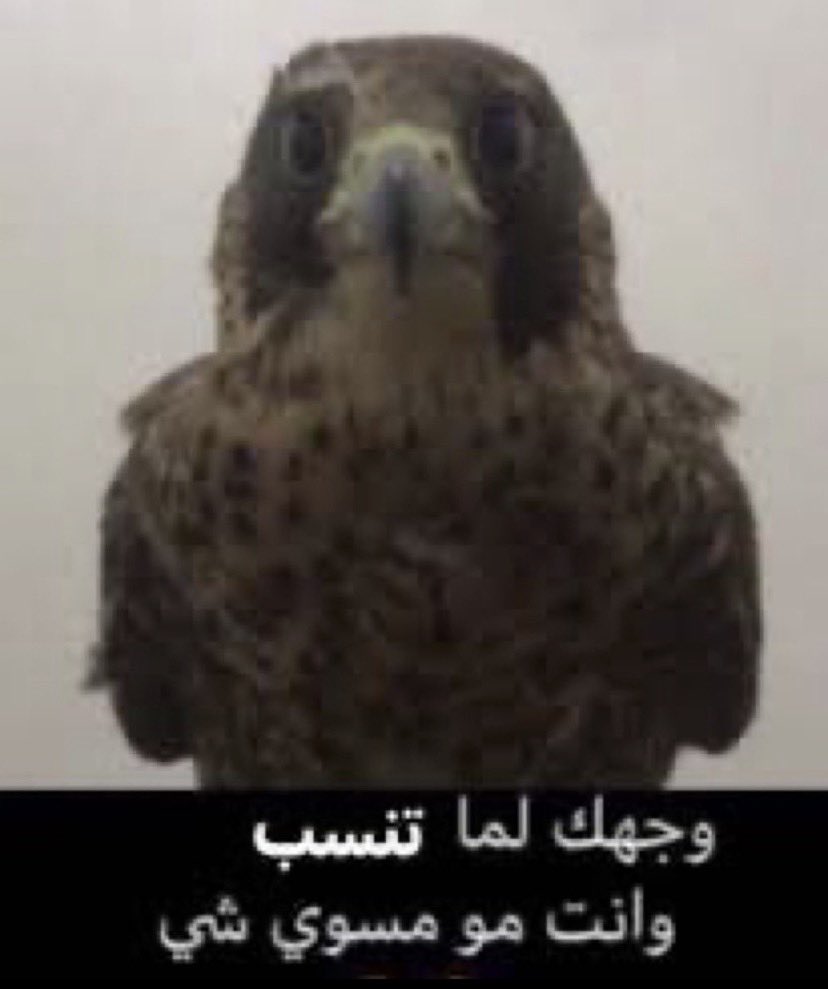 601ii6's tweet photo. @nooneknoowws شيرين كل ماتزوج مشهور https://t.co/oc715QtnBw