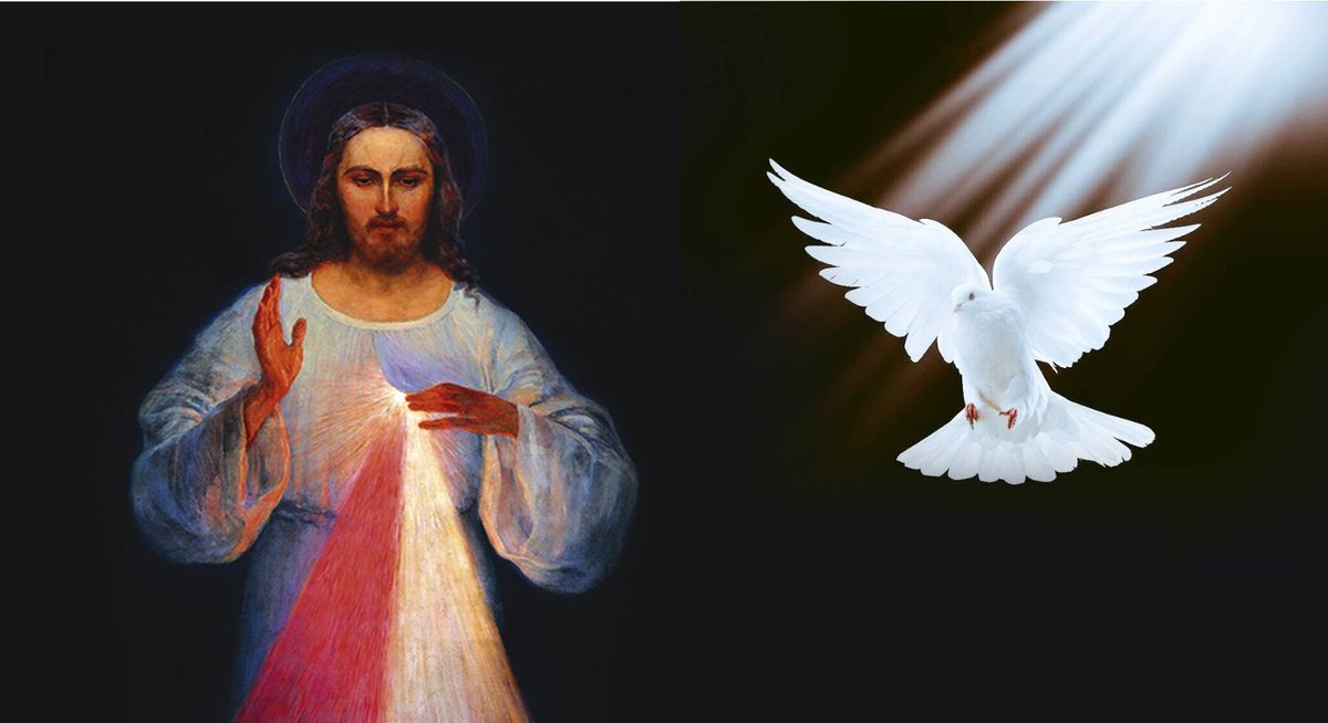 SW Prayer tweet media