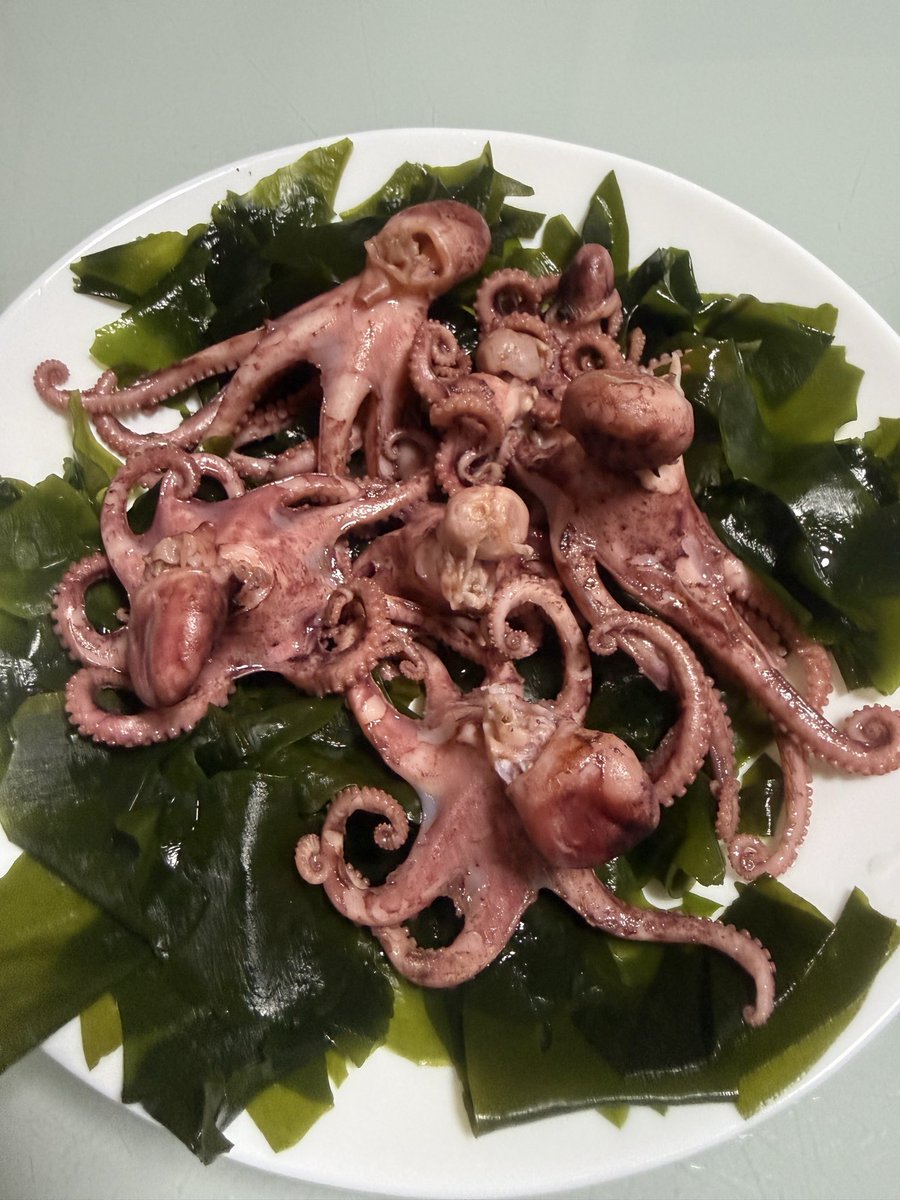 NobuoTeam's tweet photo. 今日の晩酌のおつまみは　うお一番で買った　イイダコの茹で🐙
柔らかく　旨みもあり最高です！！
酎���イからの　日本酒🍶うまうま🍶
#きまぐれクック
#うお一番 https://t.co/I3Ac7FZm15