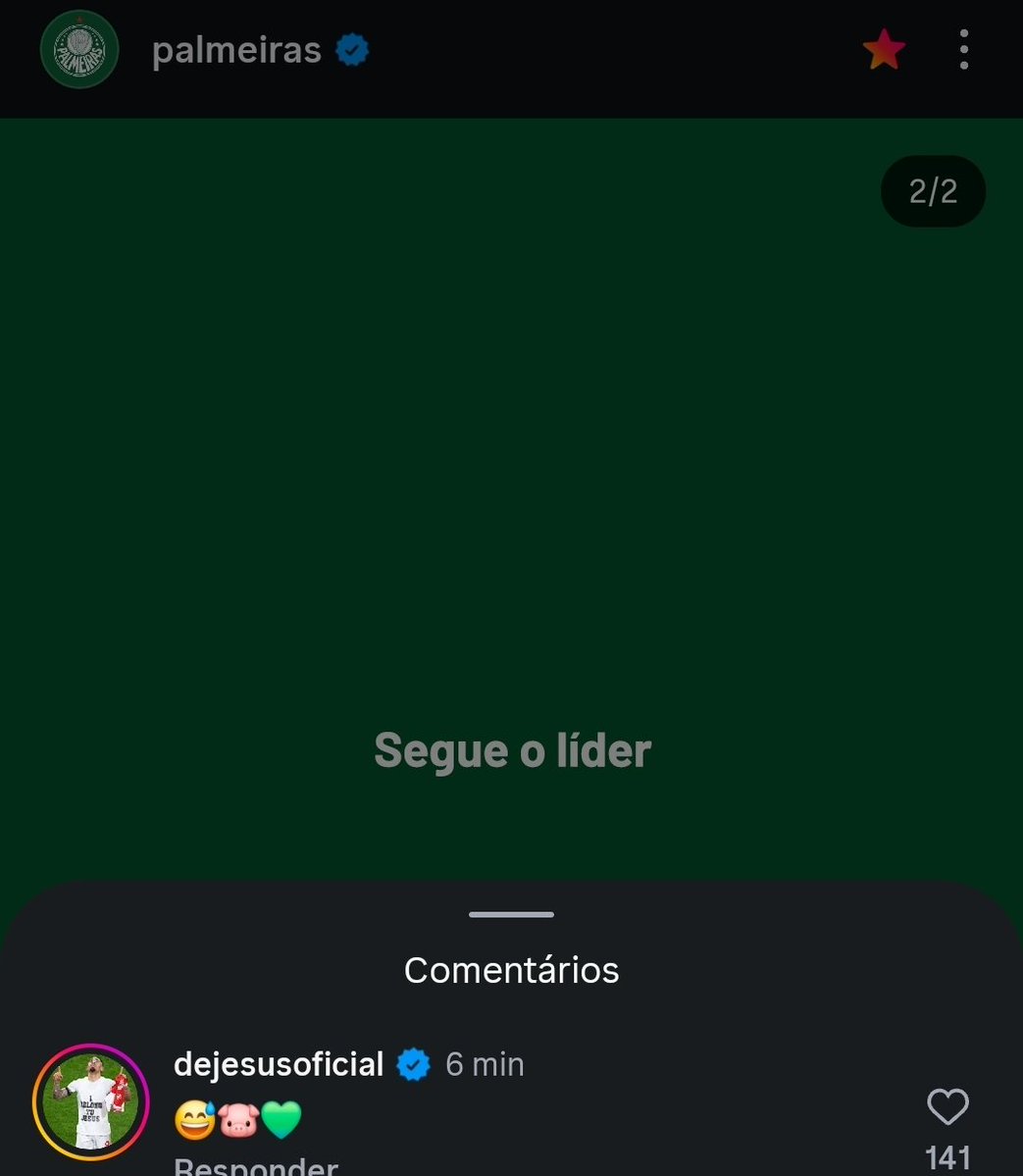 Palmeiras memes🐷💚 tweet media