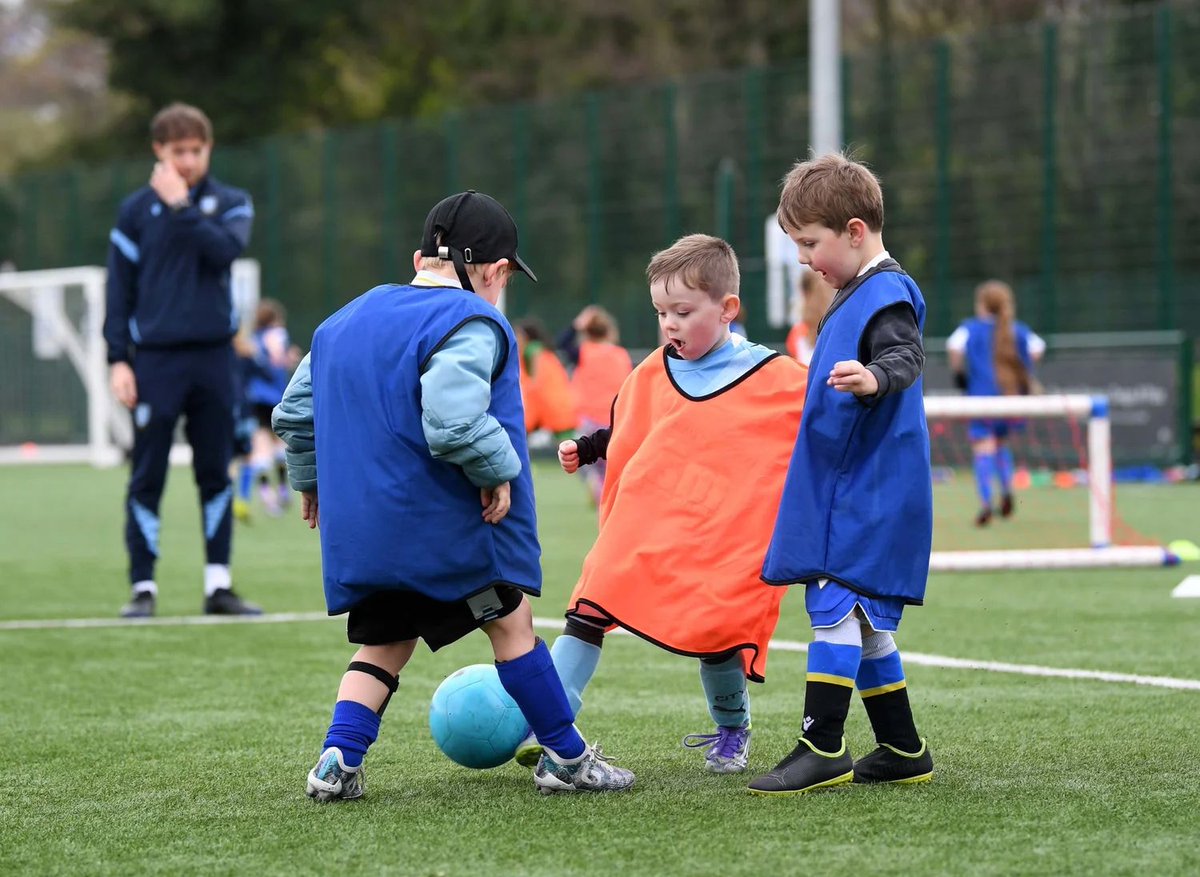 Sheffield Wednesday Community tweet media