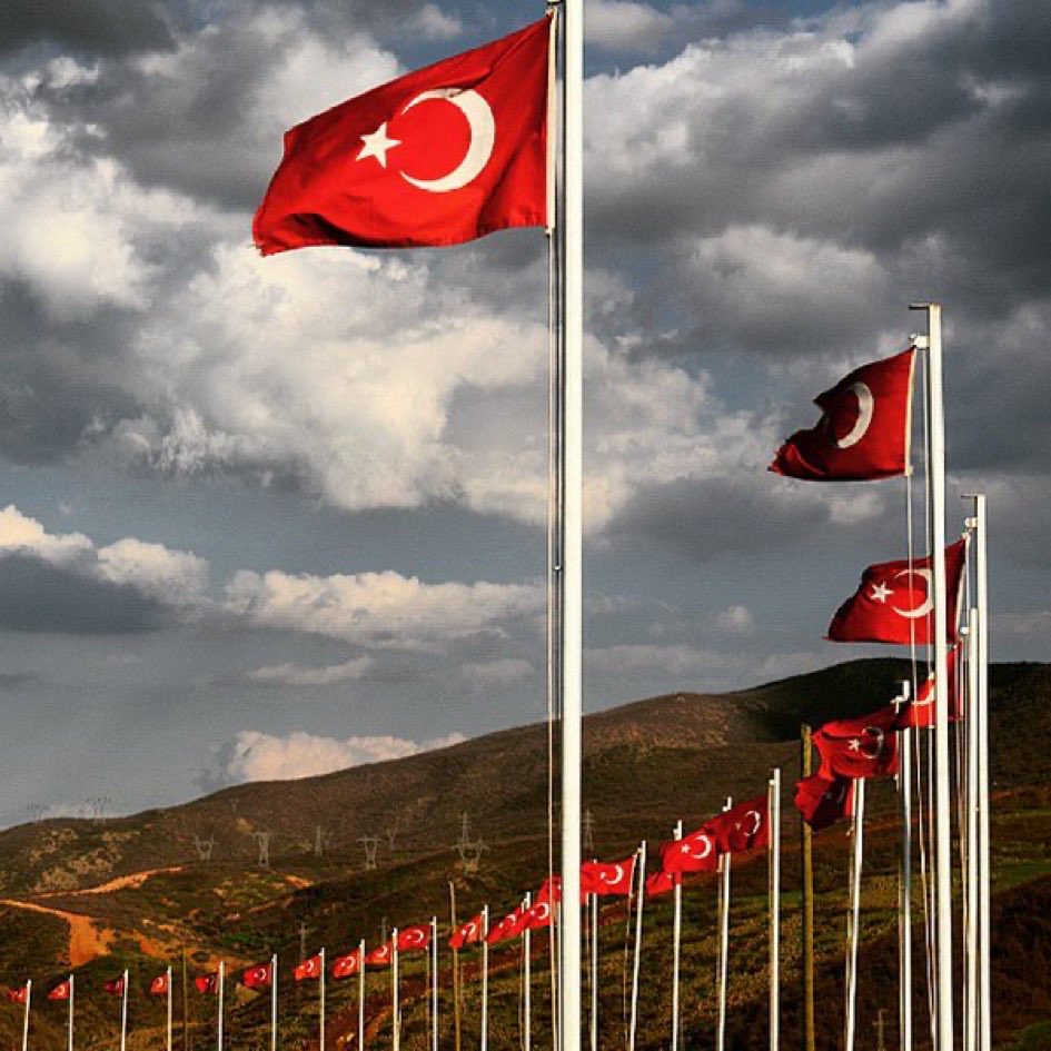 Cemal Eğin🇹🇷 tweet media