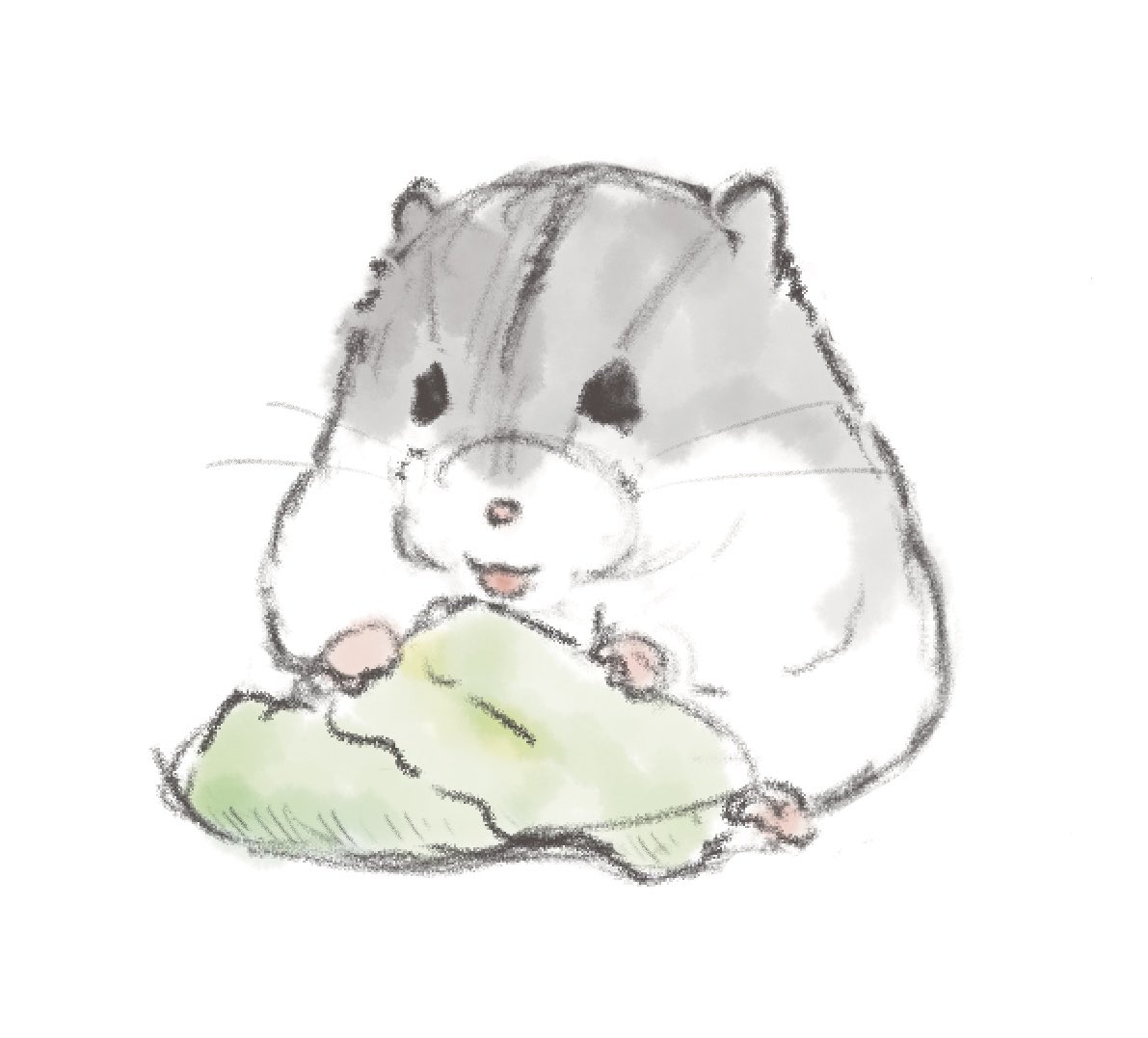 いと🐹 (@vri074s9IqqmXMG) / Posts / X
