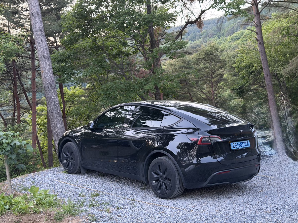 Tsla Chan tweet media