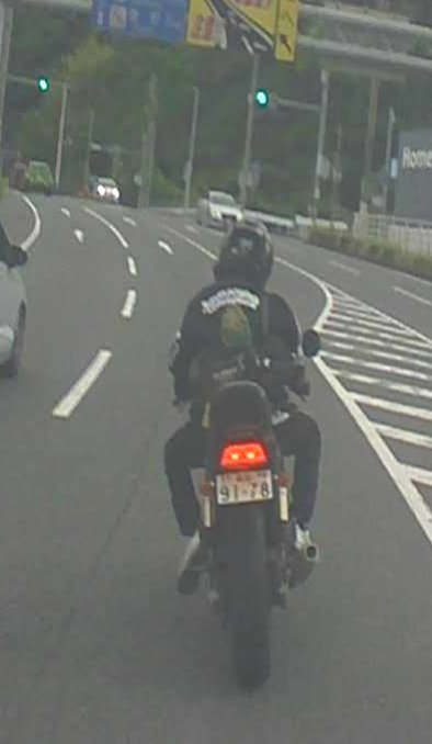 U51235892's tweet photo. 要注意　今度見かけた仕留めます🧐 https://t.co/DYRJNXWEPe