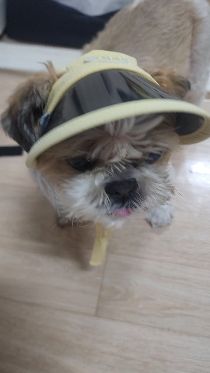 혜짱이 tweet media