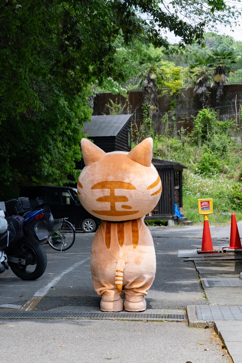こんにちわ。 玉ちゃんです(=^・ω・^=)ﾉ 今週もおわるにゃ