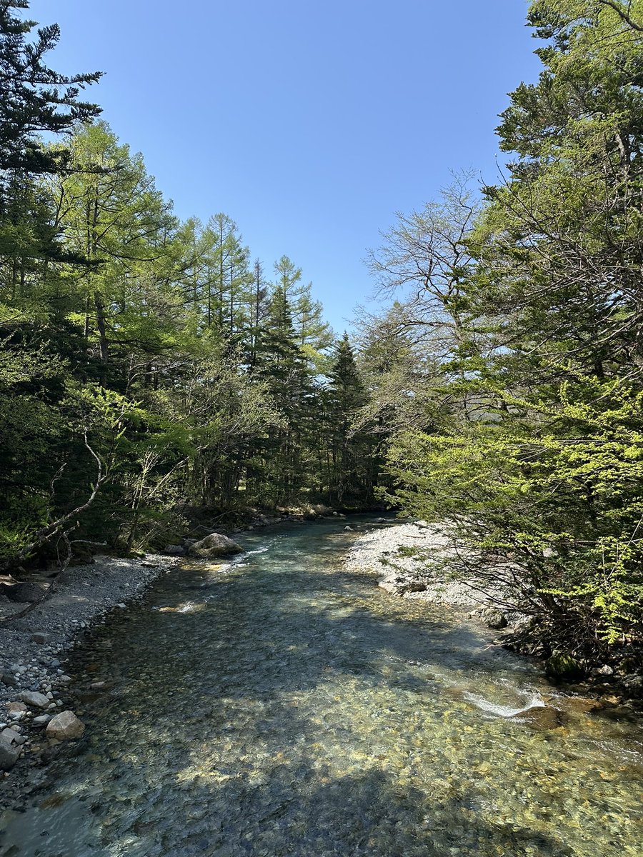 fy_775's tweet photo. 上高地はいい🍃⛰️ https://t.co/UTu05UZQDY