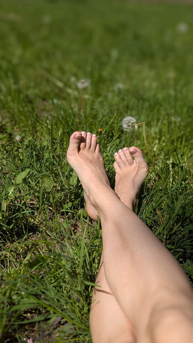 ✨ Göttin Gaia ✨ tweet media