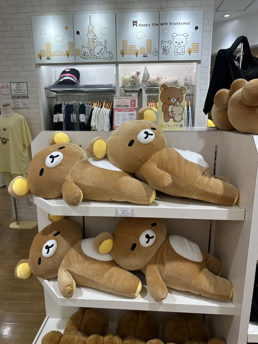 rilakkumaruuu's tweet photo. 可愛い子がいっぱい🐻💓 https://t.co/Zm5YXqX59J