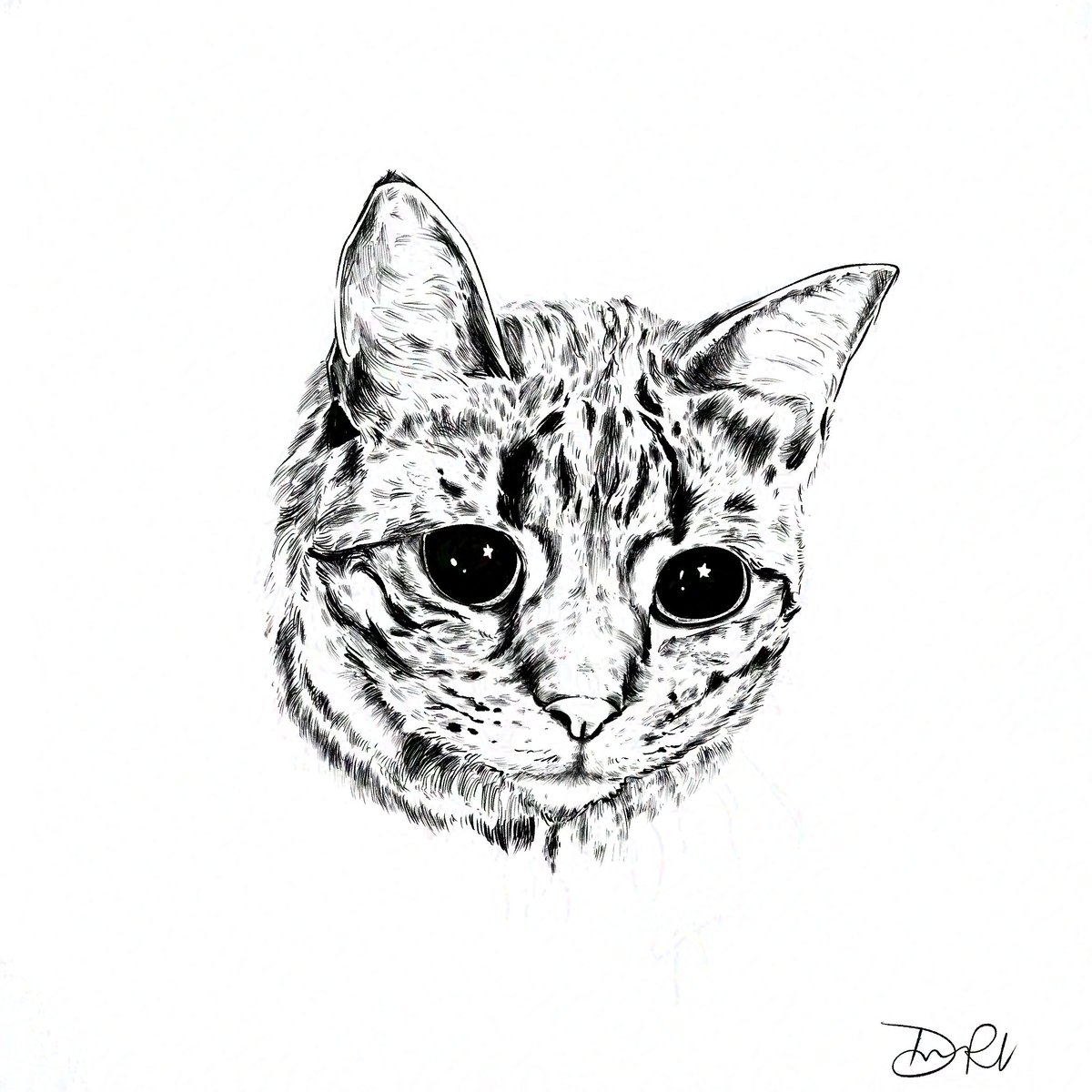 daffmeow's tweet photo. lily 2026 ✨

cspEX - ink portrait

#cats #meow #daffmeow https://t.co/0wvzh8cLox