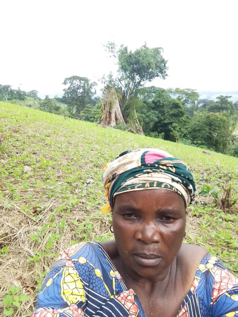 FESOorg's tweet photo. 🌿 Préserver le sol aujourd’hui, c’est garantir la nourriture de demain. L’agroécologie favorise une agriculture saine, résiliente et respectueuse de la nature. #Climat #Agroécologie https://t.co/FInppjKqtF