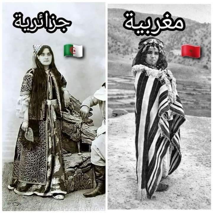Daoud Ali داود علي 🇩🇿🕌🇩🇿🇵🇸🇪🇭 tweet media