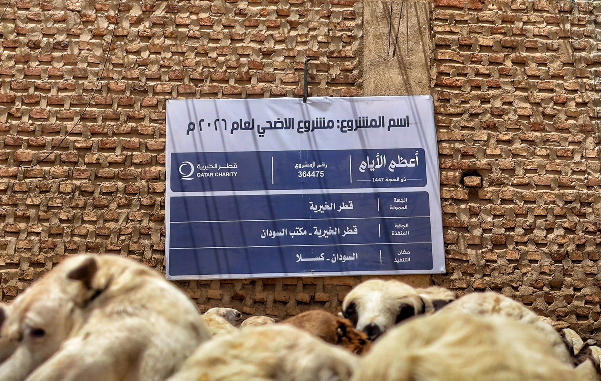 qcharity's tweet photo. من قلب #السودان.. نمدّ جسور الأخوّة لتكتمل بهجة العيد ✨
وسط تطلعات الأسر لغدٍ أفضل، تُسابق طواقم #قطر_الخيرية الميدانية الزمن لتهيئة وتجهيز أضاحيكم لعام 2026م 🐑
نقف في الميدان لنشرف على أدق تفاصيل الحصر والتحضير، ملتزمين بتقديم عونٍ يليق بكرامة أهلنا ويُدخل السرور على بيوتهم في الأيام المباركة.

#أعظم_الأيام