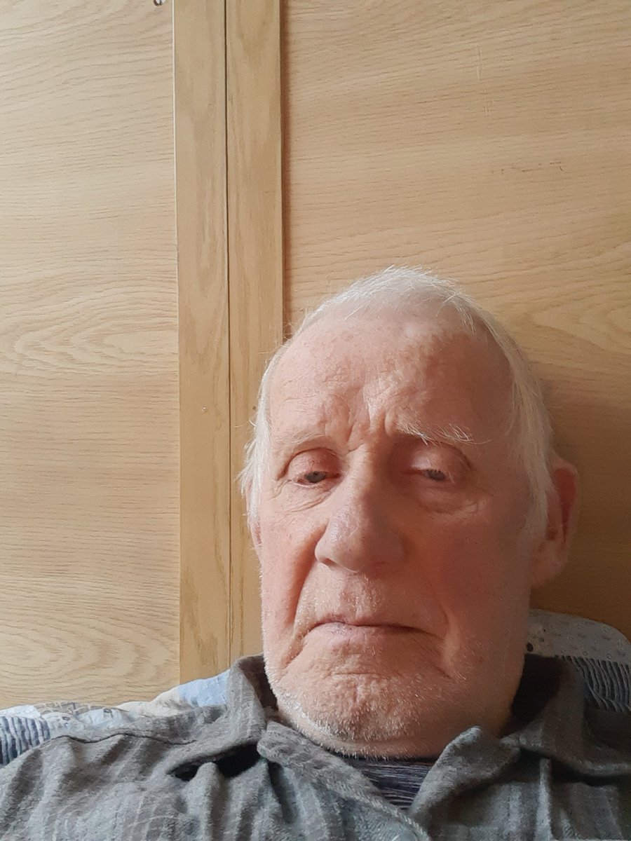 Alfred tweet media