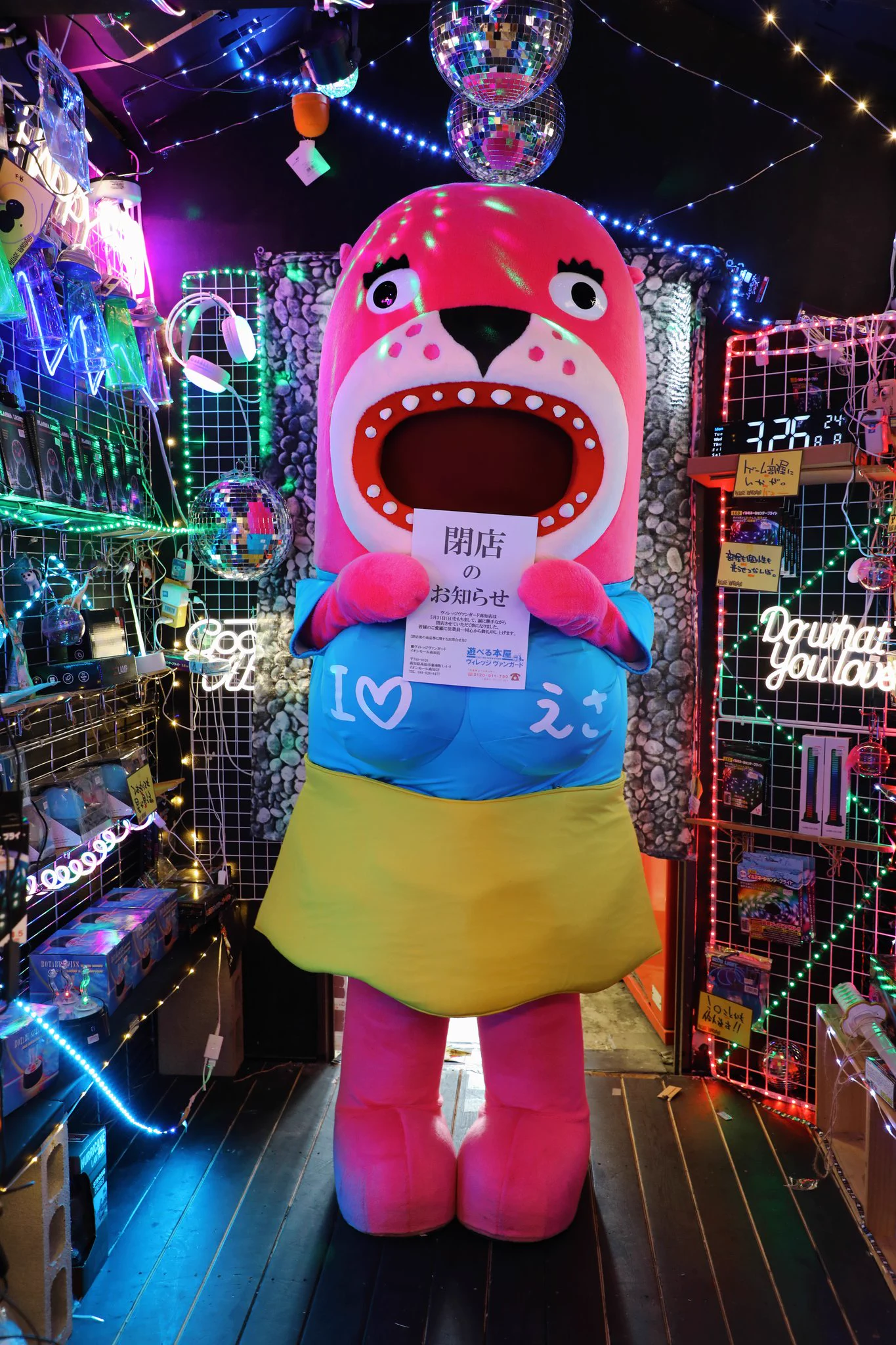 桂浜水族館 公式 on X: 