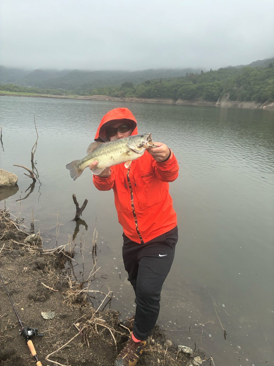 urea_tpx's tweet photo. 今日も高校時代の同級生と釣りへ🎣
前回も自分が釣ってしまったので自分が苦手なスモールフィールドへ☝️
ガイドしてたのに釣ってしまった🐟
しかもラージ🤣
やっぱりスモール苦手です…
次は釣ってもらおう！ https://t.co/EygCMaRwsC