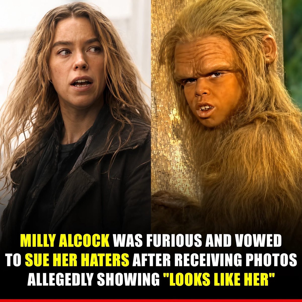 Bekou Movies tweet media