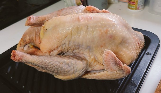 ホロホロ鳥を焼いていくぞっ 