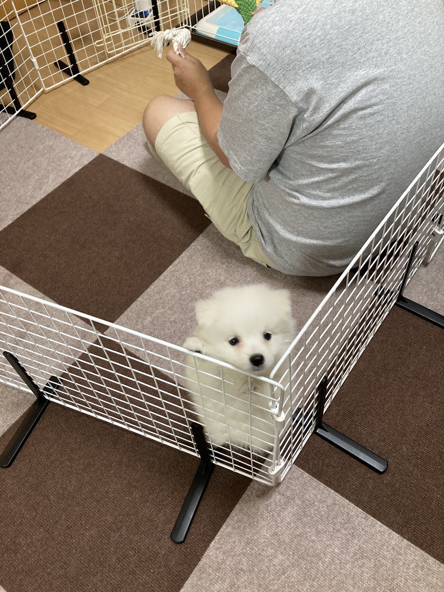 てみちゃん tweet media