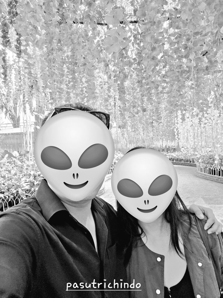Tang ting tung tweet media
