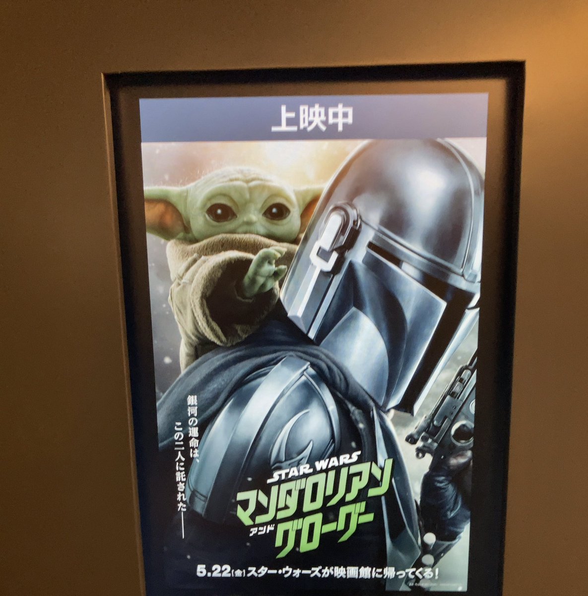 kkryyr's tweet photo. 今日は吹替版で。

マンドーが｢俺は一匹狼だ｣って言う場面（足元にはグローグー）では、毎回フフッ☺️ってなってしまう。
マンドーは割とどの口がそれ言うな発言が多いと思う。ヘルメットで見えないけど。

#マンドーグローグー 
#期待感想キャンペーン https://t.co/JFo5BzAqfp