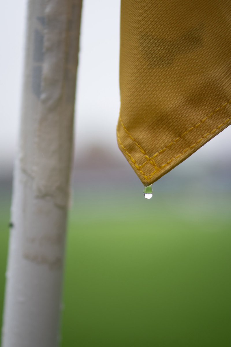 FK Bodø/Glimt tweet media