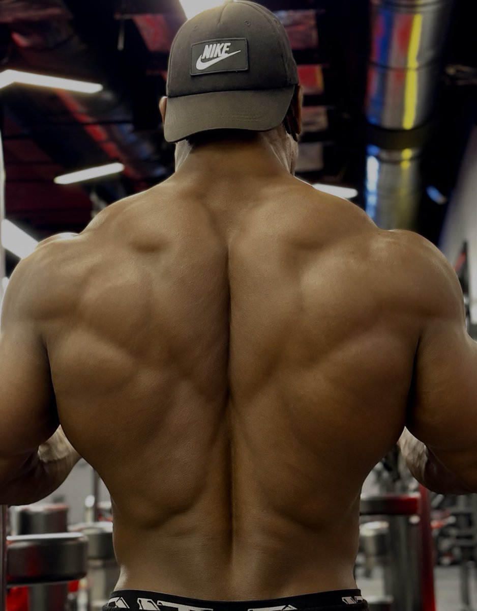 MalikTyrone2's tweet photo. You can live in my BACK!! it’s Latissimus day. What is your own workout today? https://t.co/NxpmyI5L6L