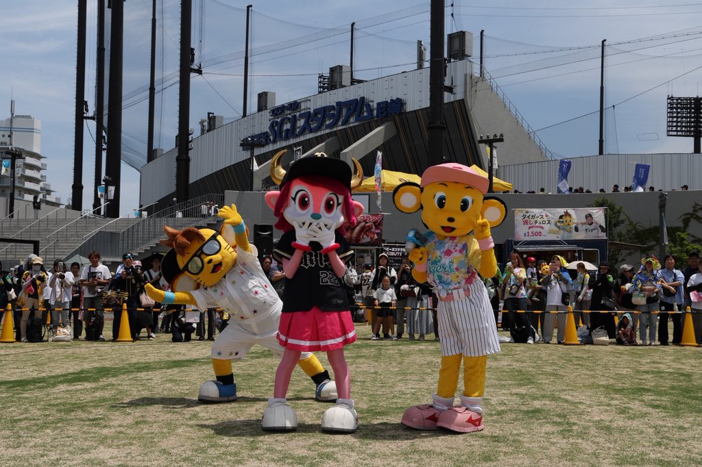 タイガースアカデミーチア　150センチリボン付き タイガースチアダンスアカデミー』無料体験会受付中です🌼✨ #阪神 チアリーディング