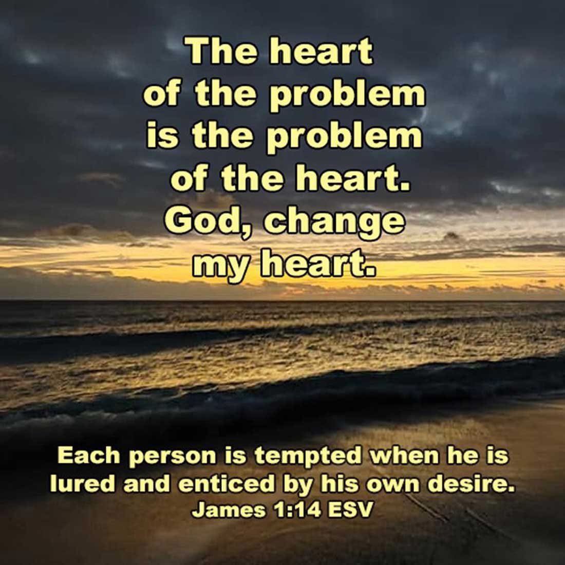 Daily Word 4 You tweet media