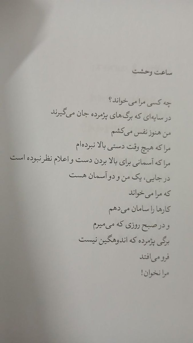 Nima tweet media