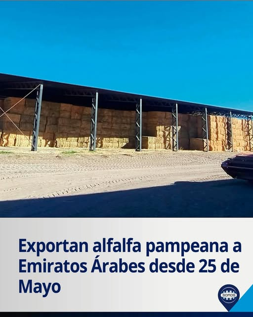 ALTA GAMA JOYAS tweet media