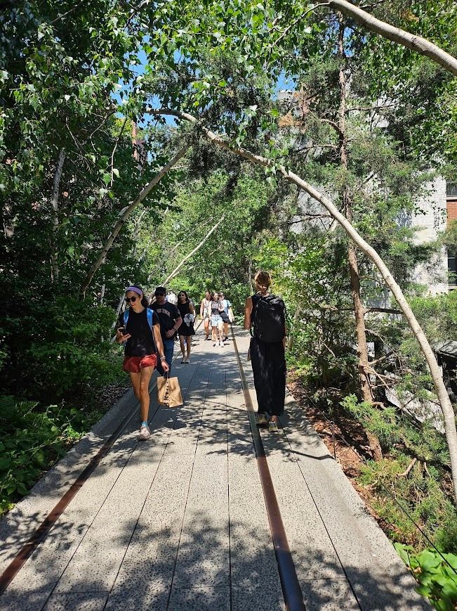 Vialii's tweet photo. The High Line in NYC has been on our Wish List for a long time now so Jill was delighted to be able to visit on her recent trip. It's great to see so many plants and hear birds tweeting in the middle of the city. 
#TheHighLine
#NYC https://t.co/2FfvJ8yUOH