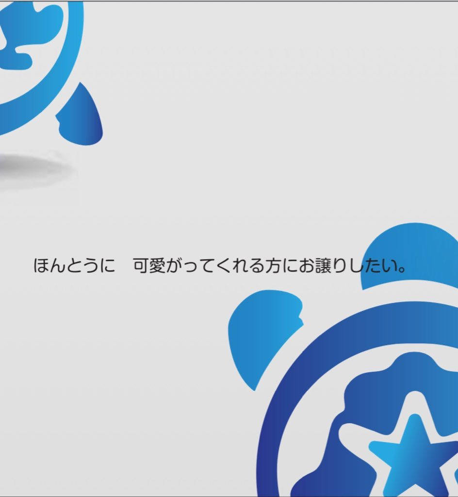 トータスSTARS tweet media
