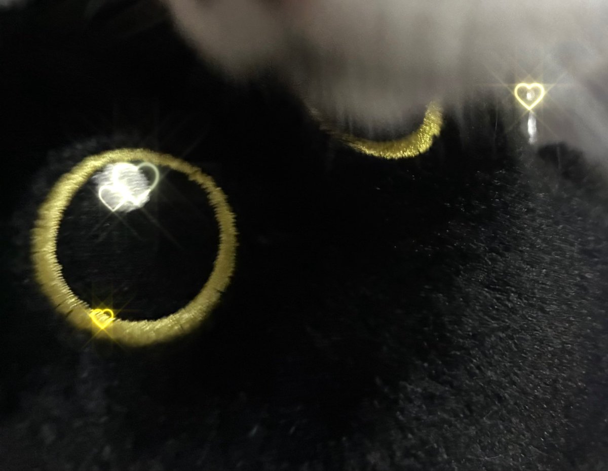 Pime5g's tweet photo. ﾋﾞｯｻﾐたのしかった。
MugigoさんのDarklord's Tower🐈‍⬛おもろかった！でたら買うど！
#bitsummit https://t.co/nob8cbsHgS
