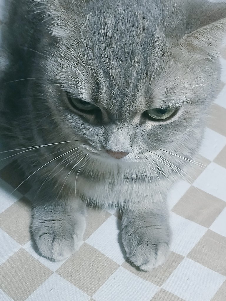 𝐤𝐡𝐮𝐧𝐫𝐚𝐦𝐛𝐨⁰³²⁷ tweet media