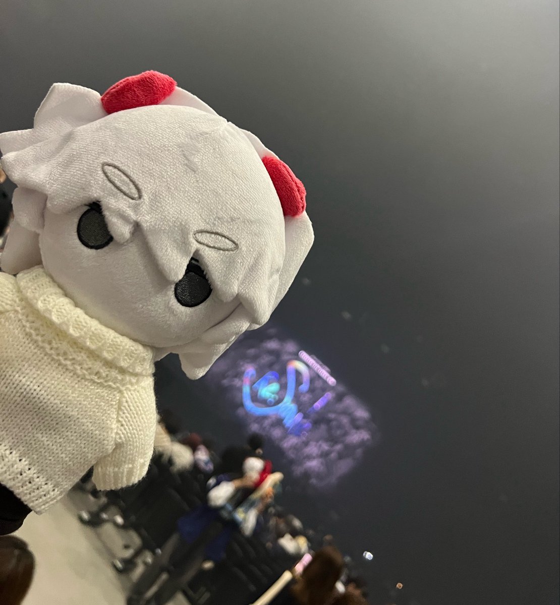 めあ👁🗨( ◉▽◉ )3 𝙉𝙚𝙭𝙩 ︎ ⇝ 廻帰羽田 tweet media