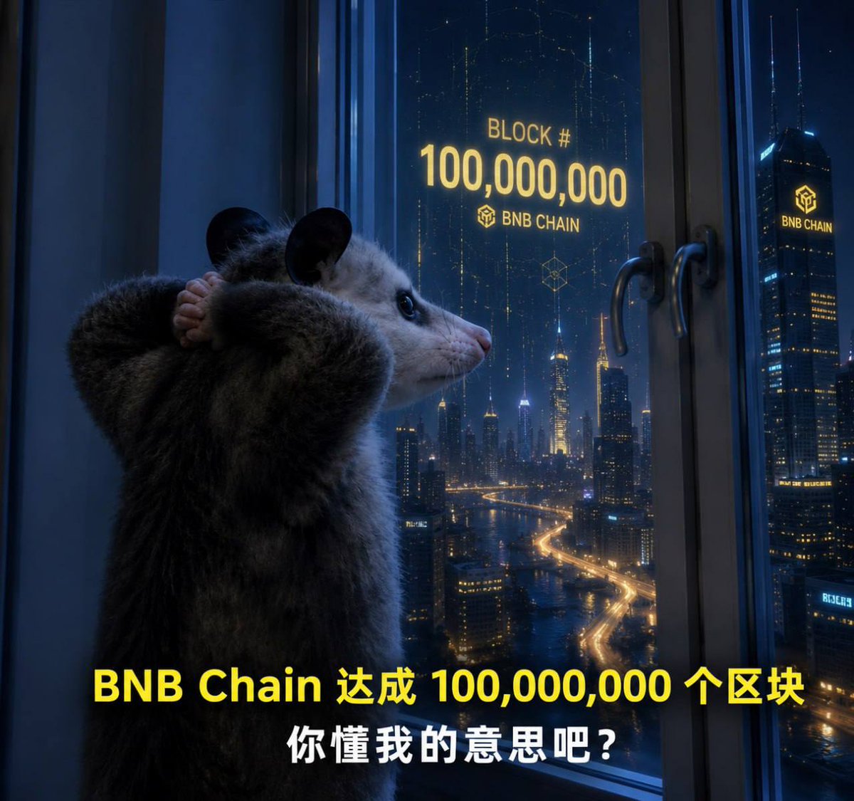 web3小雨🔶BNB tweet media