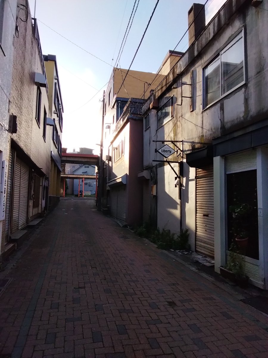 きんに君 tweet media