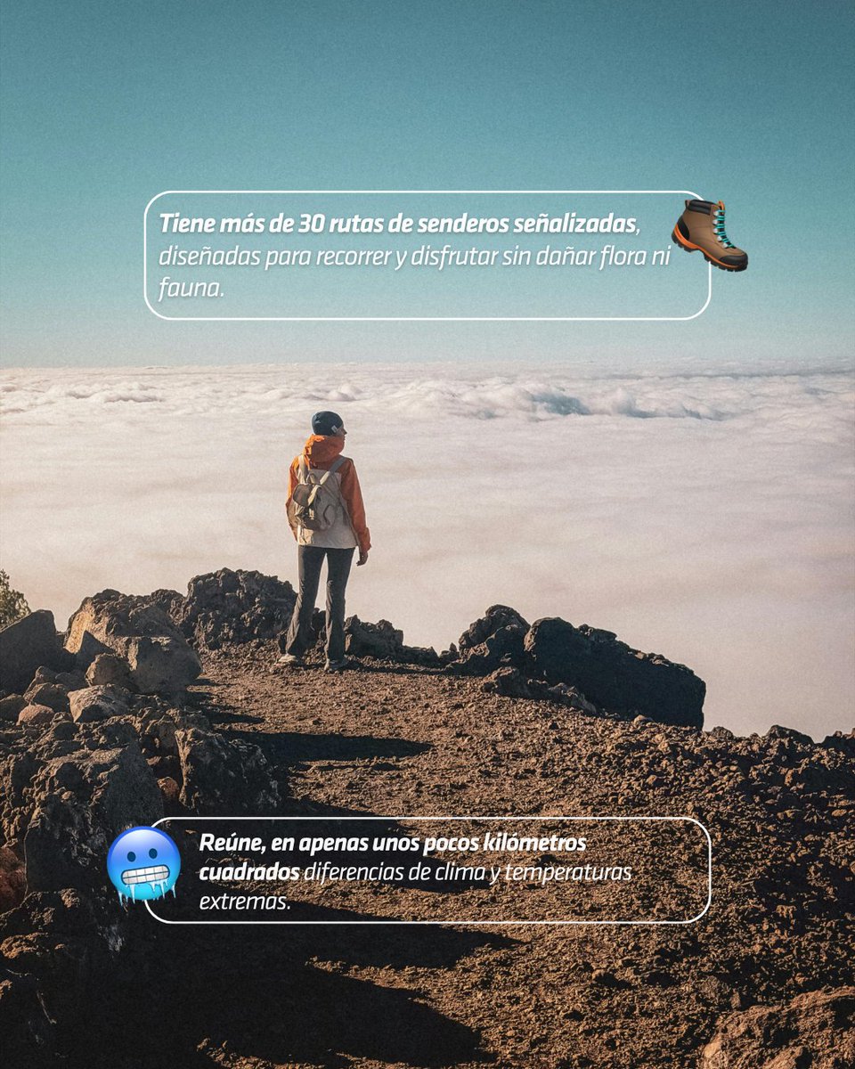 VolcanoTeide's tweet photo. Más que territorios delimitados, ¡son parte de nuestro ecosistema 🌱🐦 y nuestra cultura! 🇮🇨 celebra hoy, coincidiendo con la efeméride de los pioneros en el continente 🇪🇺 el #DíaEuropeoDeLosParquesNaturales! 👏
#teidelover #volcanoteide #europeannaturalparksday https://t.co/4geogWiq15