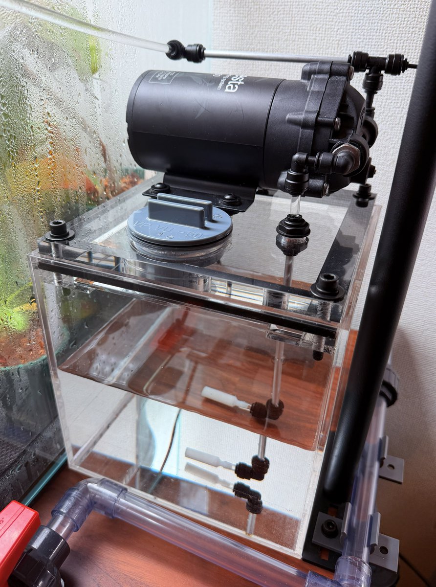 LARGEPOND1's tweet photo. 美しく、カッコいいミスティング装置用のタンクを自作しました。

オールアクリル製で、20cmキューブサイズのアクリル水槽を改造して制作しました。

フォレスタの1番強いポンプが乗っているので、能力もバッチリです。
普段は掃除口から給水し、掃除の時は蓋を全て取れるようにしてあります。 https://t.co/x3jUXscp9G